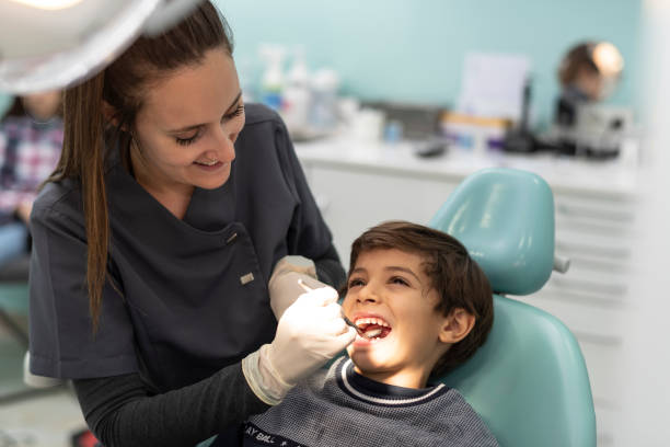 Best Emergency Dental Care for Trauma or Injury in Terville, WA